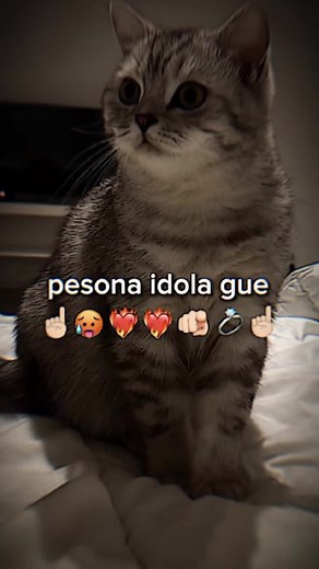 kak kei cantik bangetttt♥️♥️ @KeiKei✨ #fyp #fypシ #keikeiroblox👁👄👁 #Keikeirobloxedit #KeziaSandra👁👄👁 #Keikei #cantik✨ #cute✨❤️ #lucu✨🎀 #Youtuber #Youtubers #Youtubersedit #Edit #GamersCantik✨🦋 #YoutubersCantik🦋 #YoutubersCute🦋