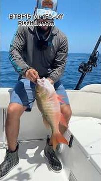 ⚡️ This ‪@Piscifun‬ Electric Reel + Saltflow Rod Combo is a GAME CHANGER! 🎣 #shorts