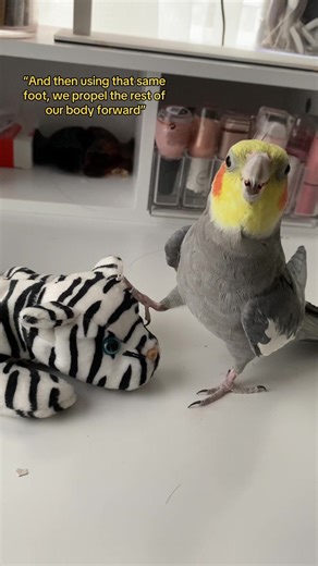 Learn How to Train Your Parrot to Stay on Your Shoulder in Minecraft