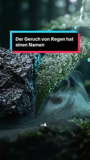 Warum riecht es eigentlich nach Regen? Was du riechst, ist kein Wasser, sondern Geosmin, Aerosole und ein uraltes Überlebenssignal. Die ganze Erklärung in 60 Sekunden. #wusstestdu #warum #wissenschaft #petrichor #regen