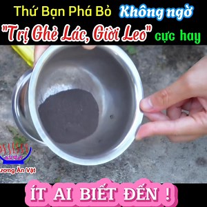 Cách Trị Giời Leo ( Zona Thần Kinh ) , Ghẻ Lác Bằng Tổ Tò Vò Rất Hiệu Quả / Bài Thuốc Từ Tổ Tò Vò. Nguồn : Phương Ăn Vặt https://youtu.be/CkpnkUpTpvM?si=_4V7Bch56-jH6UJp | Thánh mẹo VN