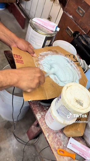 Rhino Taxidermy: An Artistic Approach to Preservation