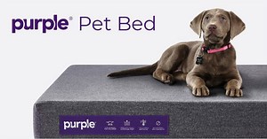 18K views · 147 reactions | The Purple® Pet Bed is live on...