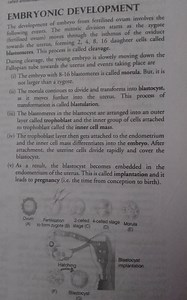 EMBRYONIC DEVELOPMENT The development of embryo from fertilised... | Filo