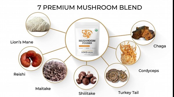 Tiger 7 Mushroom Powder Extract - 3.5oz (100g) Blend | Natural Ingredients - Lions Mane, Turkey Tail, Maitake, Shiitake, Reishi, Chaga & Cordyceps | Gluten-Free, Vegan, Dairy-Free