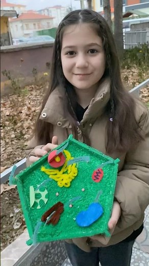 We completed a plant cell project for 5th grade science. #subscribe #explore