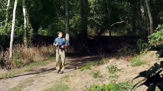 Terror en el bosque - Película de Terror completa en español