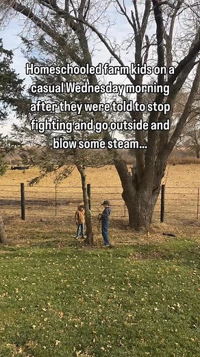 875K views · 15K reactions | Me: stop fighting and go play outside Them: locates power tool and cuts down tree… I mean I can’t say I blame them, the @milwaukeetool sawzall is my favorite power tool too  #capablekids #farmkids #farmlife #cantmakethisup | Jena • Double O Farms | Facebook