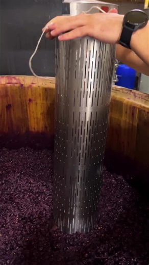 Efficient Wine Extraction Techniques Using Stainless Steel