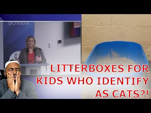 Parent Claims School Put Litterboxes In Bathroom For Kids Who Identify As Cats!