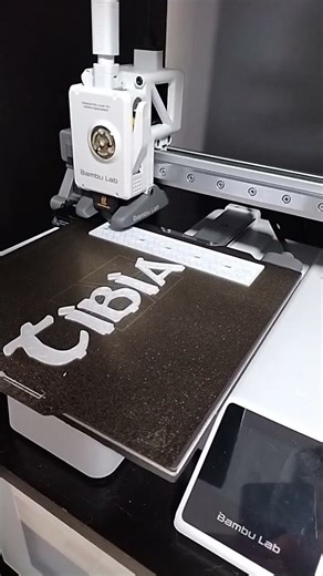 IMPRESSORA 3D: Tibiano não para, dá um tempo! 😎 (artista Rianski Schipanski).