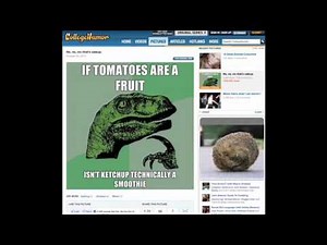 This video is about cat pictures.