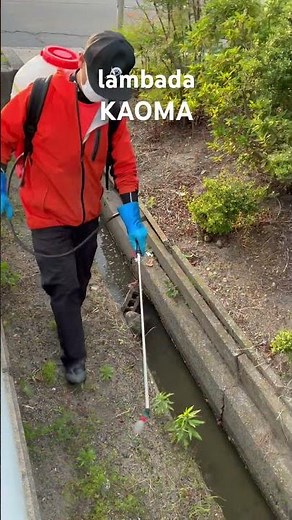 ザクサとカーメックスで、3ヶ月効く除草剤