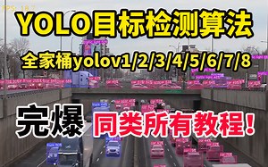 【YOLO天花板教程】真的太详细了！计算机大佬仅花48小时就把YOLOv1/2/3/4/5/6/7/8给讲通透了！零基础小白，跨行人员也能快速入门目标检测