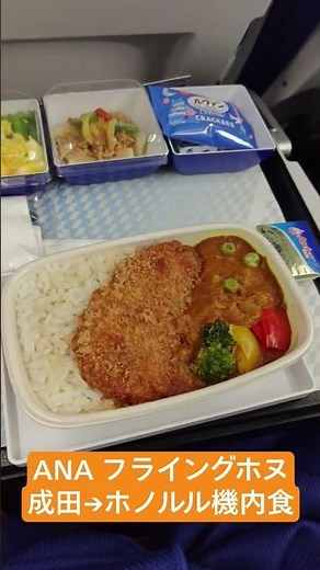 ANA A380 成田→ホノルルの機内食 2026/2/3 #機内食 #ANA#a380 #ホノルル