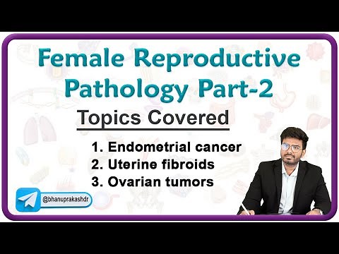 Female Reproductive Pathology (Part - 2) : Endometrial cancer, Uterine fibroids and Ovarian tumors