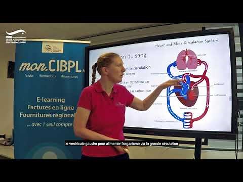 L'oedème aigu pulmonaire