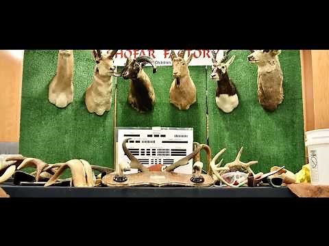 Shofar Factory - Tzivos Hashem Traveling Craft Workshops - JewishChildren.com