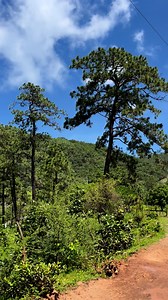 42K views · 1.7K reactions | La cañada verde Cuitaboca | Cuitaboca Sinaloa | Facebook