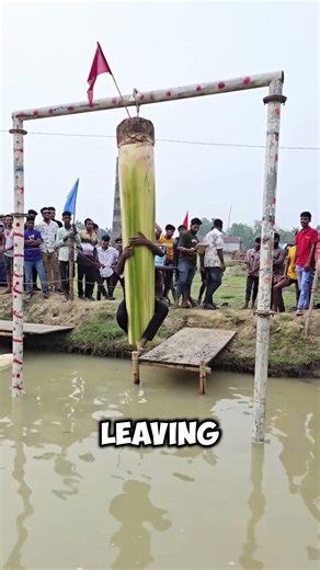 Hanging Banana Tree Climbing Challenge