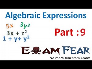 Maths Algebraic Expressions part 9 (Addition Examples) CBSE Class 7 Mathematics VII