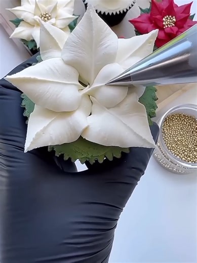 Understanding the Sigma Lifestyle and Motivation