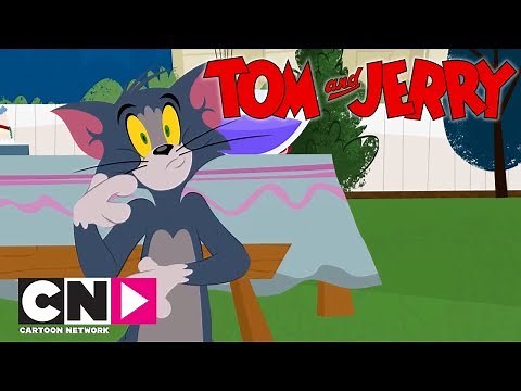 Tom & Jerry Show I Eğlence I Cartoon Network Türkiye