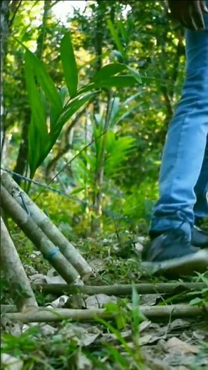 Primitive Animal Trap | Jungle Survival Skills #Shorts