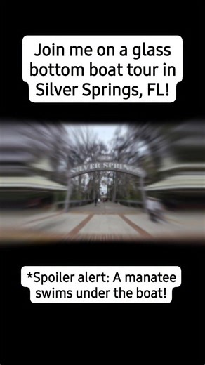 💙 COME SEE A MANATEE with me on this glass bottom #boat tour in #SilverSprings #Florida! 😍 | Tamra Rose McMahon