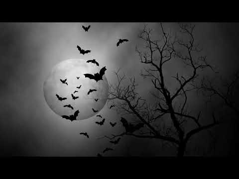 Group of Bats Sound Effect in HD Quality