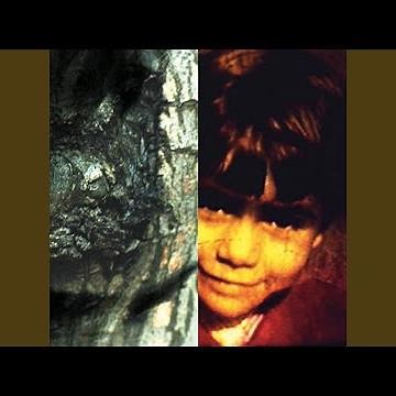 I've Never Been There