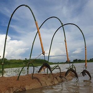 18K views · 708 reactions | Unbelievable Fishing Trapping System! Smart Boy Build Bamboo Stick Fish Trap In River Flowing Water #fish_trap #video | Discovery Site | Facebook