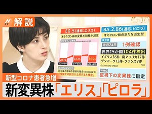 第9波？新型コロナ患者が急増 新変異株「エリス」「ピロラ」とは【Nスタ解説】｜TBS NEWS DIG