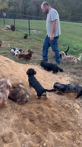 95K views · 2K reactions | Here’s Waylon and his daddy having the...