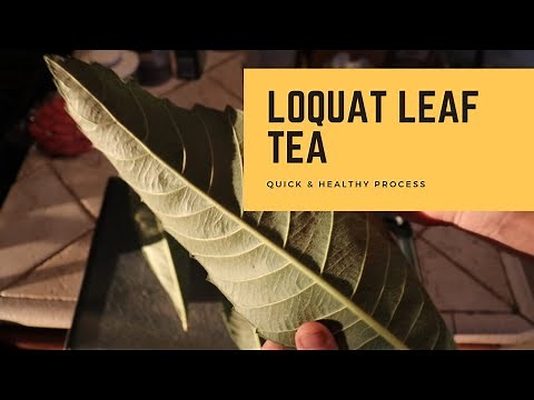 How to Make Loquat Leaf Tea | 枇杷