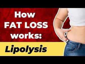 How FAT LOSS works - Lipolysis | What is lipolysis?