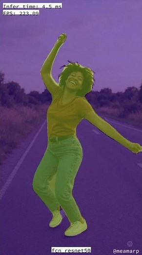 Semantic Segmentation Demo with FCN-ResNet50 | Inference using PyTorch & TorchVision | 2