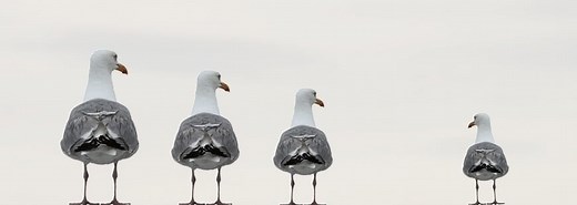 The Essential Guide to Textual Integrity