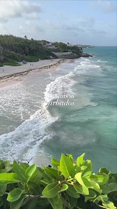 17K views · 456 reactions | From the beaches to the allures of the Caribbean, explore the captivating beauty of Barbados! Adventure awaits! : @bebeolli, thanks for sharing! #VisitBarbados #LoveBarbados #MyBarbados | Visit Barbados | Facebook