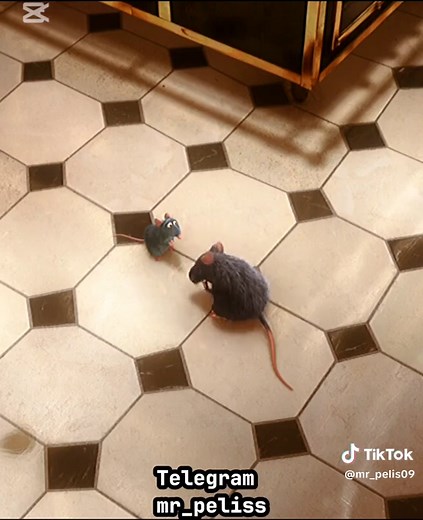 Cuentas recomendadas