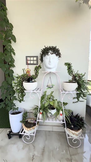 Balcony Garden Goals 💚 | Peaceful Green Escape at Home#gardeningtips