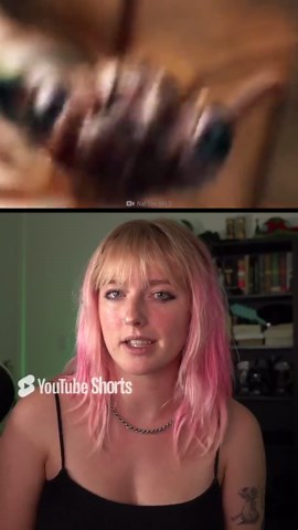 How to Handle a Bull Ant Attack