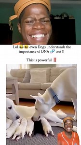 Dogs understands the importance of DNA tho 😂 #fyp #funnyreels #relatable | Apostle Comics