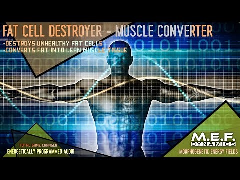 The Fat Cell Destroyer - Lean Muscle Converter
