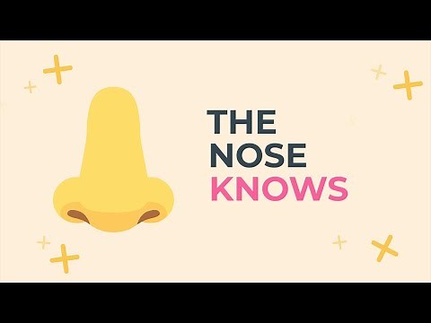The Nose Knows: How Smell Triggers Memories