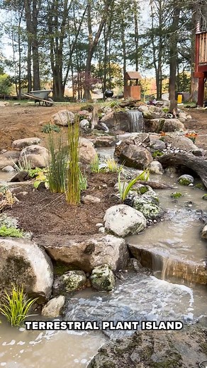1.3K views · 43 reactions | Take a look at this stunning waterfall in Deer Park, NY! Complete with beautiful mossy boulders, twists and turns, a face statue waterfall, and a pooling area for the homeowner's turtles! #waterfall #watergarden #waterfeature #turtlepond #pond #backyardgoals #backyardinspo | Garden State Koi Pond & Waterfall Design Center | Facebook
