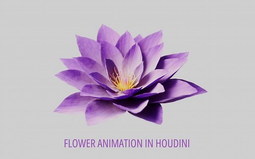 Houdini鲜花模型绽放动画教程三部曲（包含项目文件免费下载）| 中文字幕