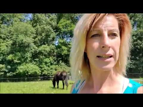 Pasture rotation for your horses