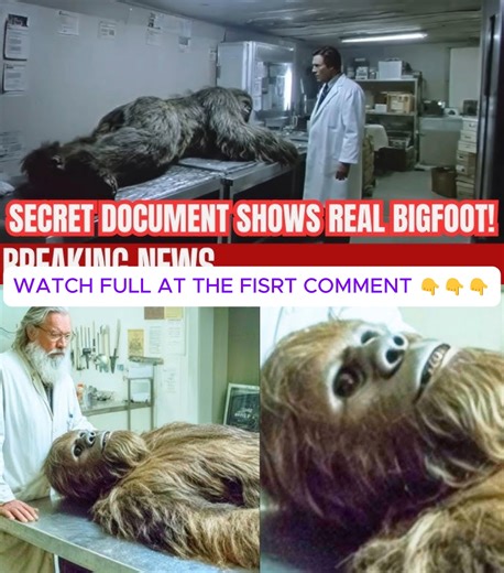 152K views · 2.8K reactions | This Scientist Learned Bigfoot's Real...