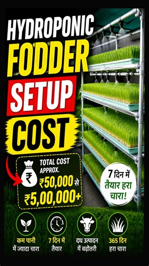 Hydroponic Fodder Setup Cost 2026 |Complete Cost Breakdown in Hindi. #hydroponics